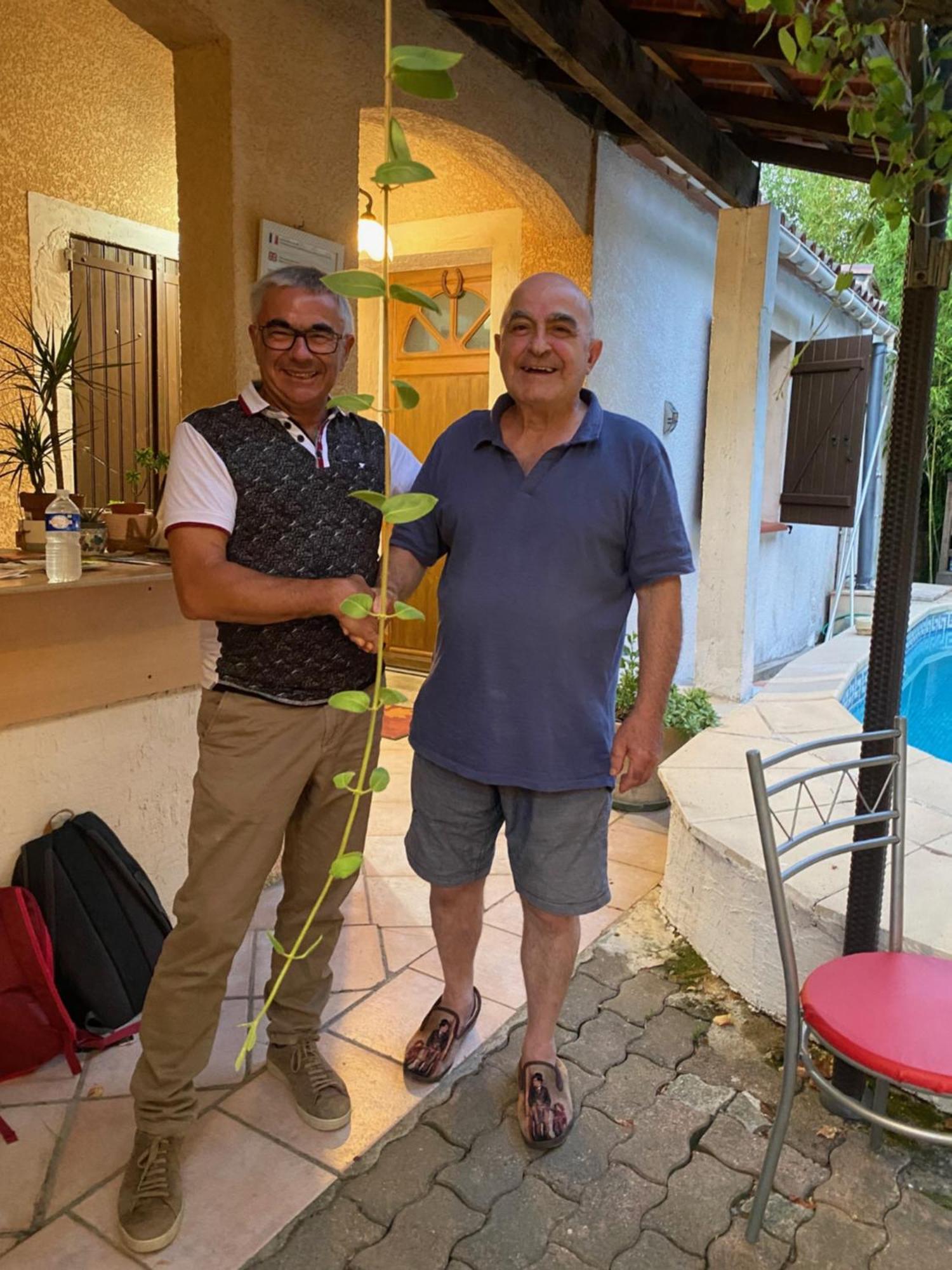 Bed & Breakfast Le Beausejour Carcassonne Dış mekan fotoğraf