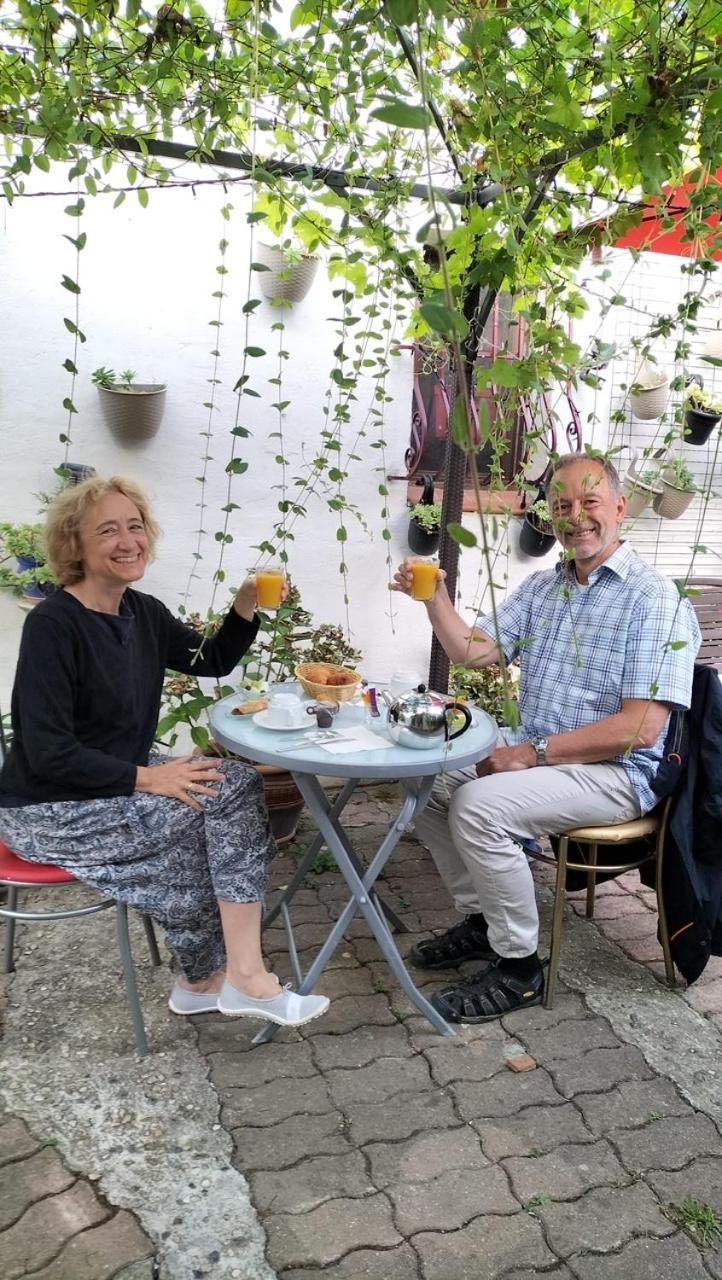 Bed & Breakfast Le Beausejour Carcassonne Dış mekan fotoğraf